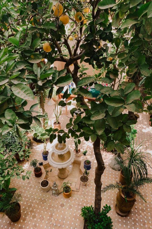 Riad Maison 24 Marrakesh Exterior photo